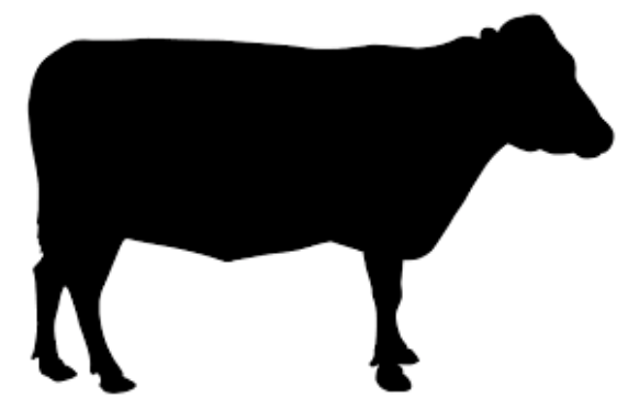 Screen Shot 2018-03-28 at 12.47.52 PM