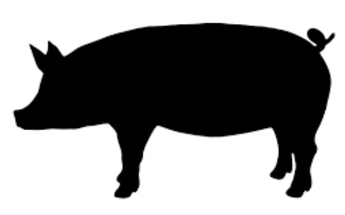 Screen Shot 2018-03-28 at 12.50.44 PM