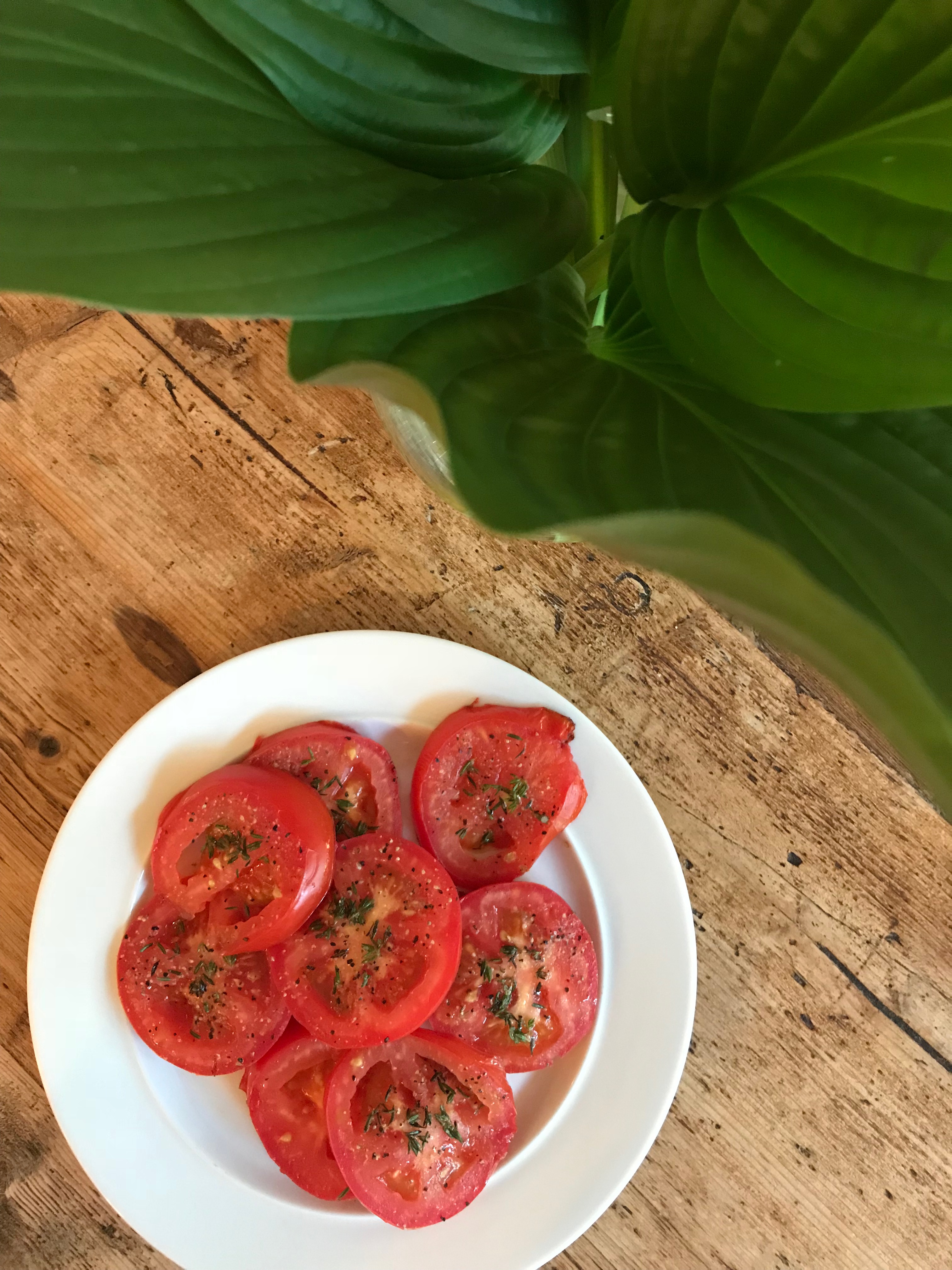 ZLZ15EpvRFyg9MJ4nX9vpA