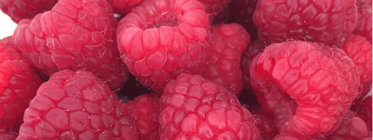 Screen Shot 2018-08-13 at 12.23.22 AM