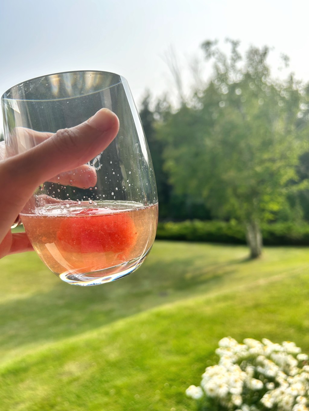Strawberry Rosé Sorbet